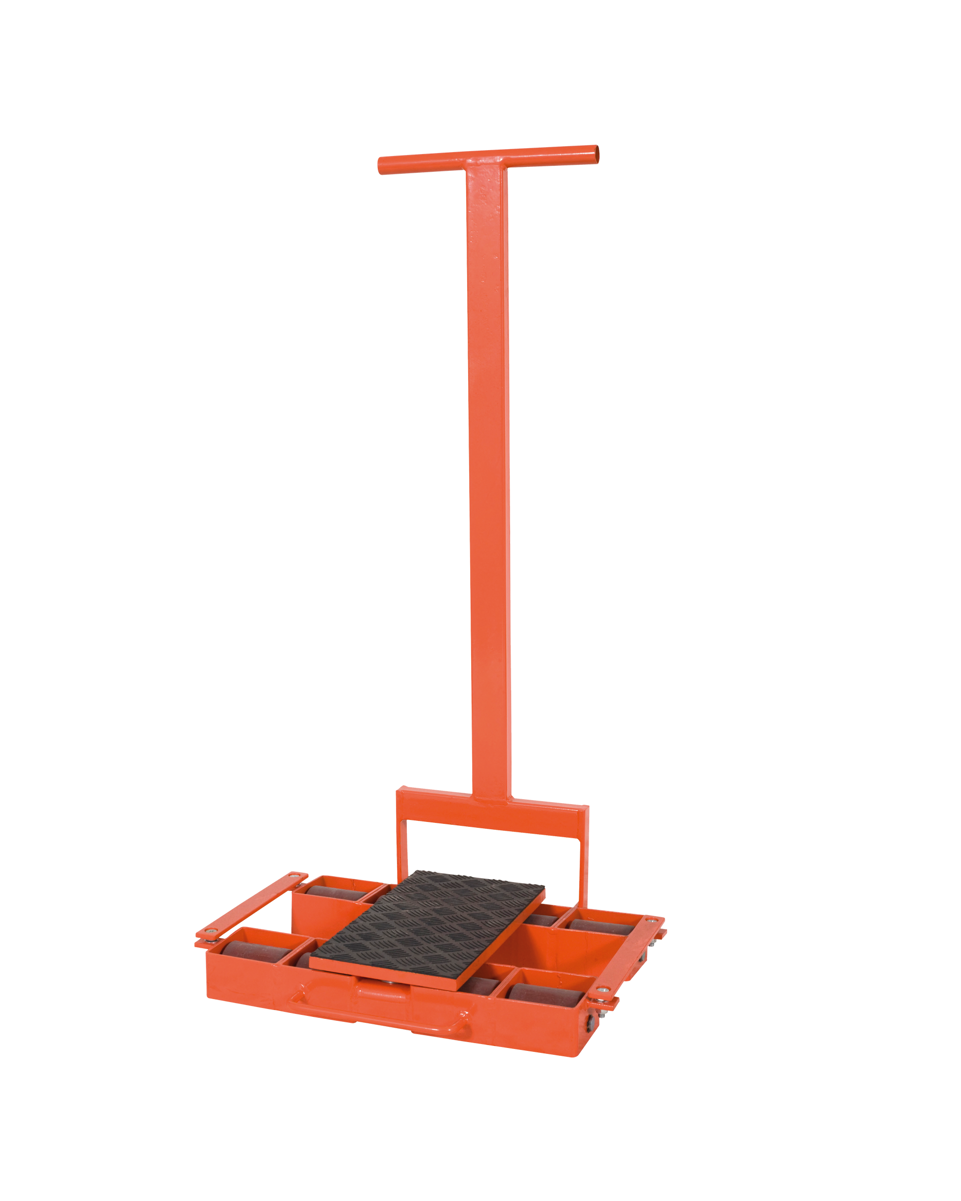 Pattini a rulli con Timone